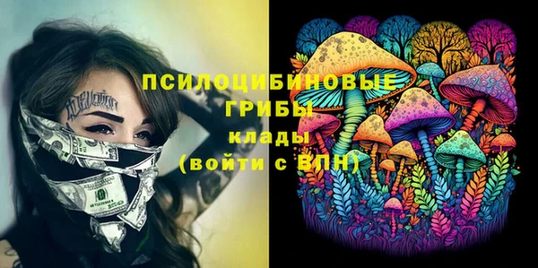 ГАЛЛЮЦИНОГЕННЫЕ ГРИБЫ Белоозёрский