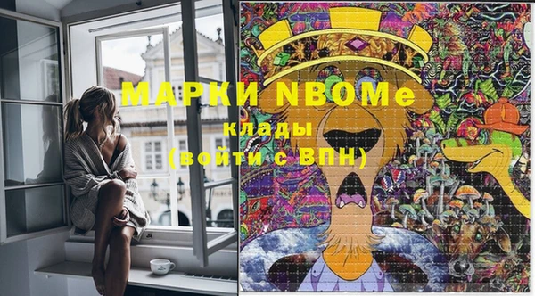 ГАЛЛЮЦИНОГЕННЫЕ ГРИБЫ Белоозёрский