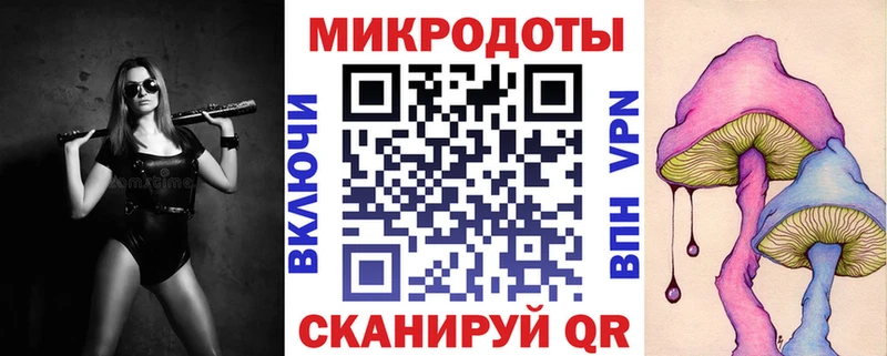 Галлюциногенные грибы Psilocybe  Мезень 