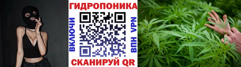 купить наркотик Мезень Шишки марихуана White Widow